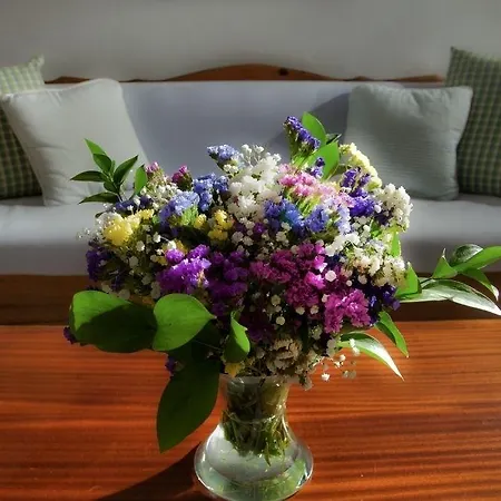 فندق شاريسي 3*