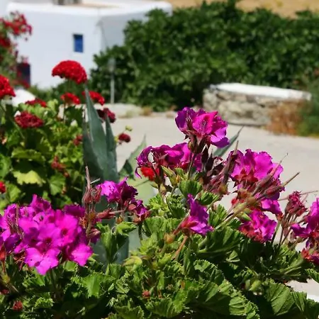 شاريسي فندق 3*